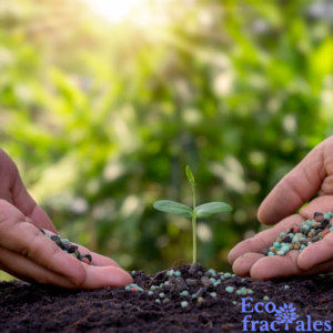 ¿Qué necesito saber para certificarme como empresa B?